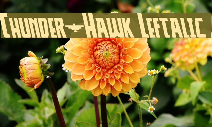 Thunder-Hawk Leftalic Example 3