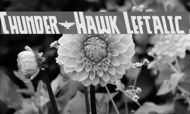 Thunder-Hawk Leftalic Font examples