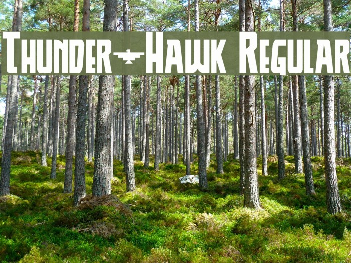 Thunder-Hawk Regular Font examples