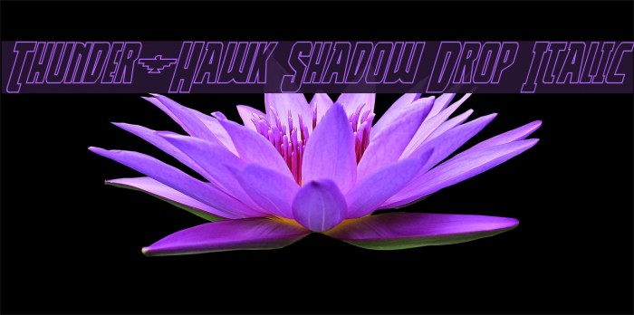 Thunder-Hawk Shadow Drop Italic Font examples