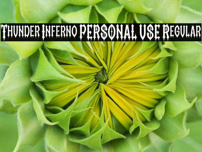 Thunder Inferno PERSONAL USE Regular Example 2