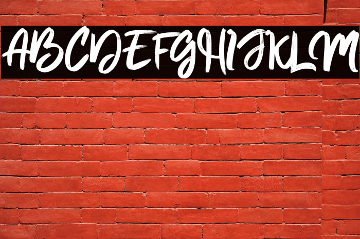 Thunder Ragnarok - Personal Use Example 3