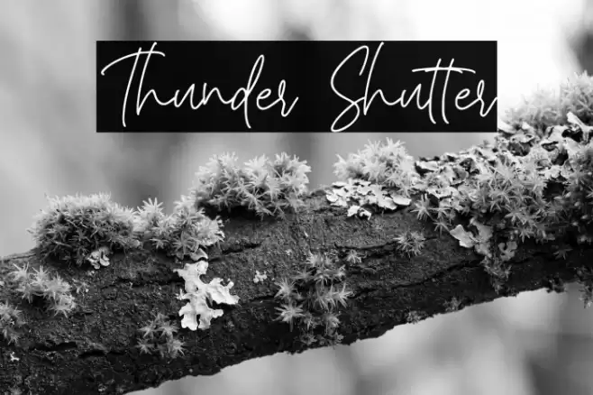 Thunder Shutter Font examples
