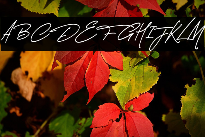 Thunder Stone Script Alt Example 3