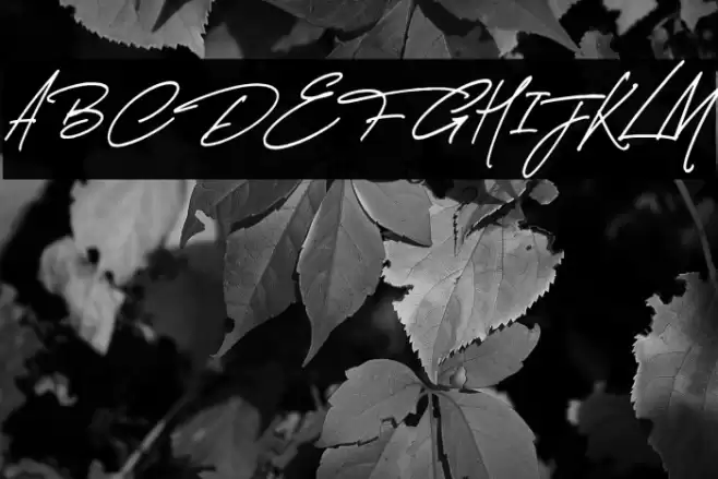 Thunder Stone Script Alt Font examples