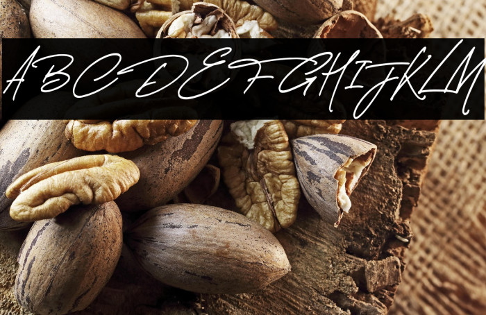 Thunder Stone Script Alt Example 2