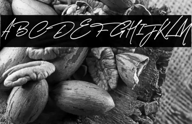 Thunder Stone Script Alt Font examples