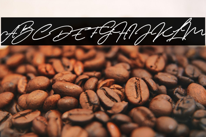 Thunder Stone Script Example 1