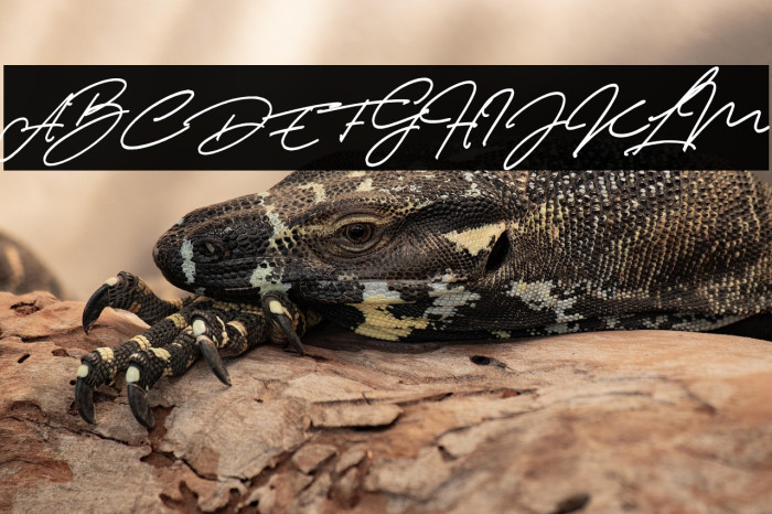 Thunder Stone Script Example 2