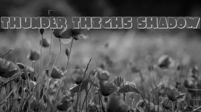Thunder Thighs Shadow Font examples