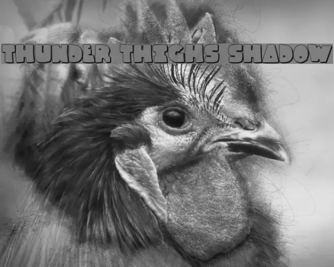 Thunder Thighs Shadow Font examples