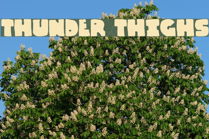 Thunder Thighs Font examples