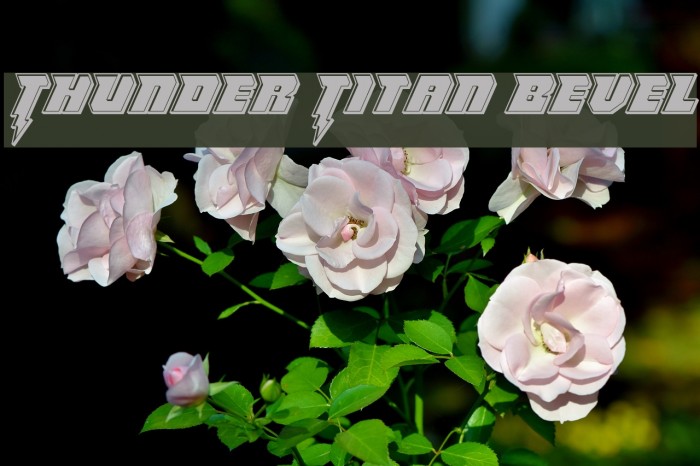 Thunder Titan Bevel Example 2