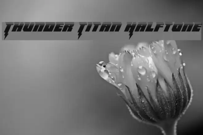 Thunder Titan Halftone Font examples