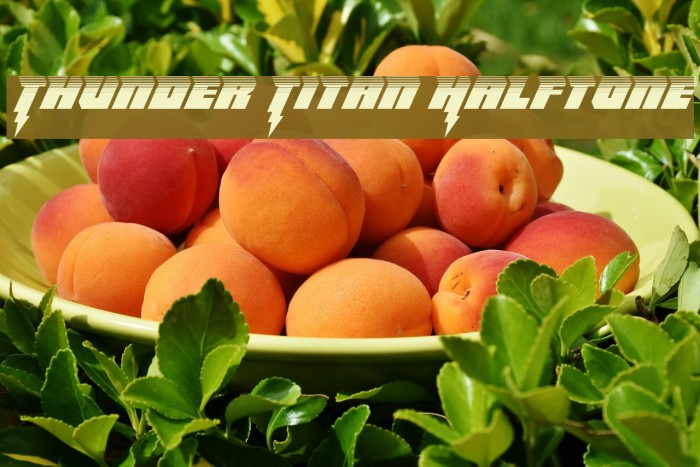 Thunder Titan Halftone Example 2