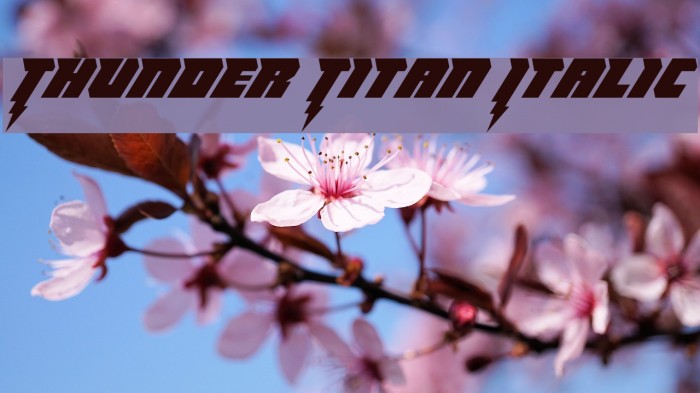 Thunder Titan Italic Example 2