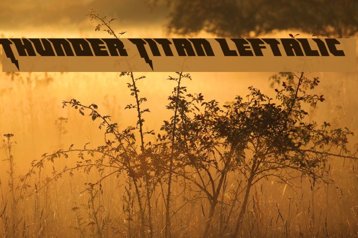 Thunder Titan Leftalic Font examples