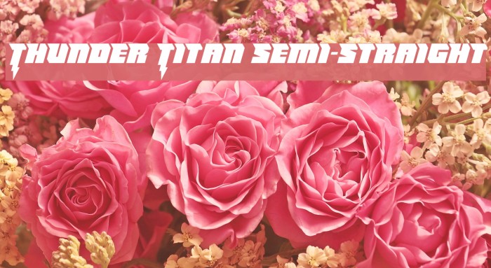 Thunder Titan Semi-Straight Font examples