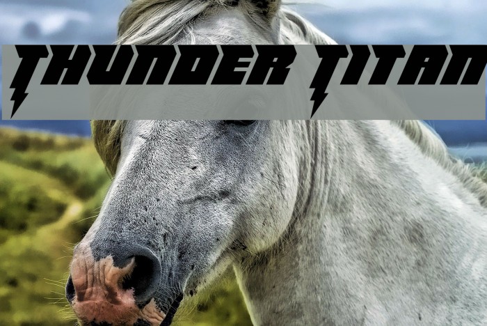 Thunder Titan Font examples