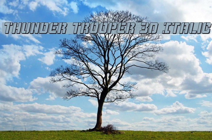 Thunder Trooper 3D Italic Font examples