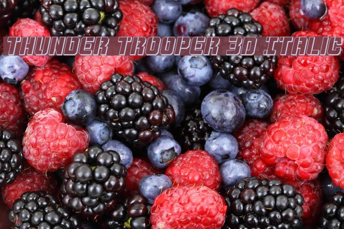 Thunder Trooper 3D Italic Font examples