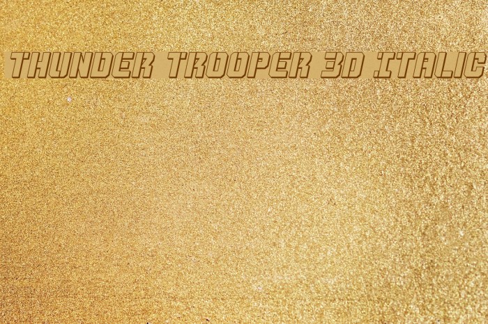 Thunder Trooper 3D Italic Font examples