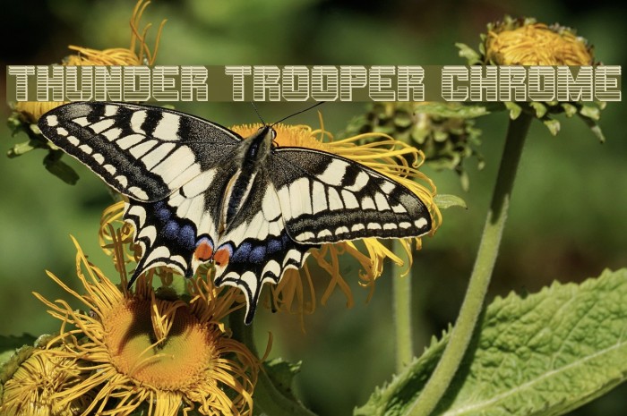 Thunder Trooper Chrome Example 3