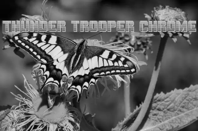 Thunder Trooper Chrome Font examples