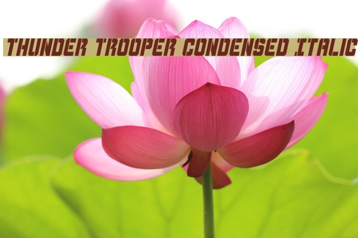 Thunder Trooper Condensed Italic Font examples