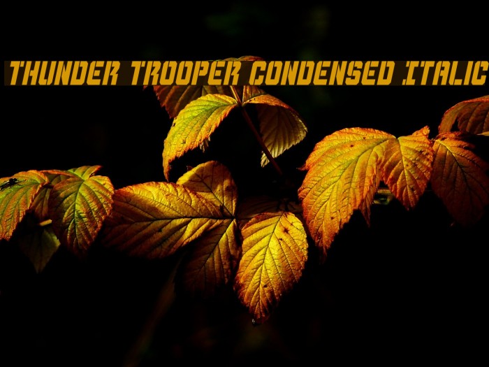 Thunder Trooper Condensed Italic Font examples