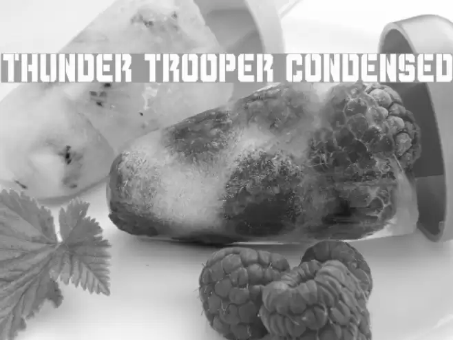 Thunder Trooper Condensed Font examples