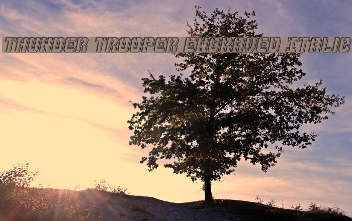 Thunder Trooper Engraved Italic Font examples
