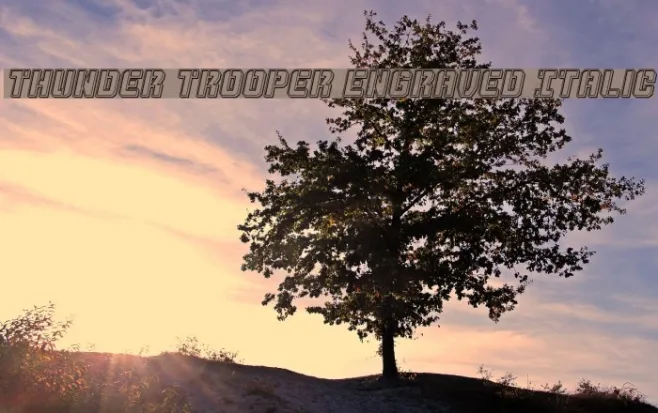 Thunder Trooper Engraved Italic Example 2