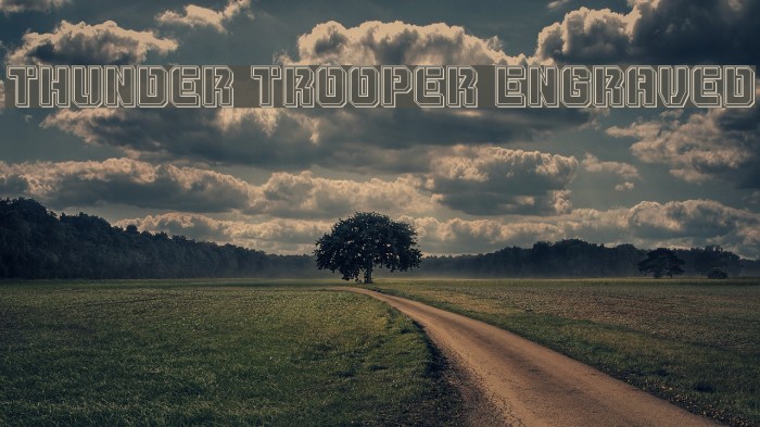 Thunder Trooper Engraved Example 3
