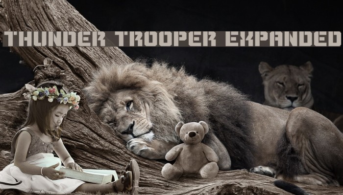Thunder Trooper Expanded Font examples