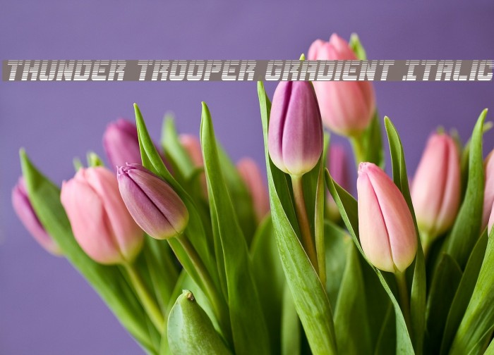 Thunder Trooper Gradient Italic Font examples