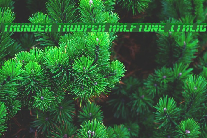 Thunder Trooper Halftone Italic Font examples