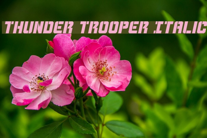 Thunder Trooper Italic Font examples