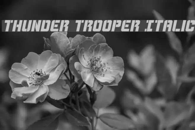 Thunder Trooper Italic Font examples