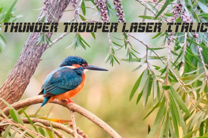 Thunder Trooper Laser Italic Font examples