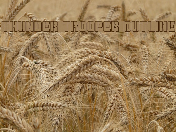 Thunder Trooper Outline Font examples