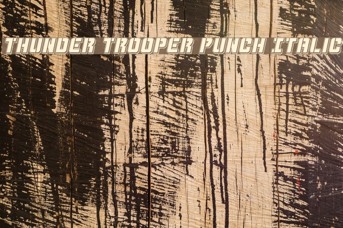 Thunder Trooper Punch Italic Example 3