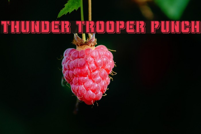 Thunder Trooper Punch Font examples