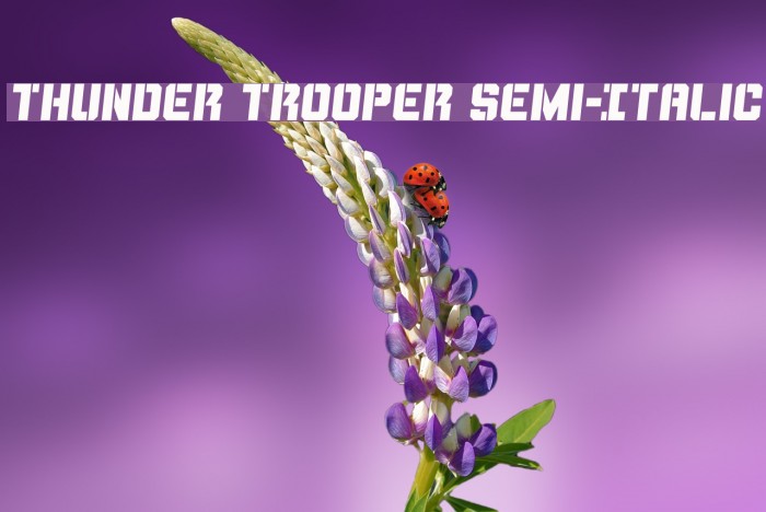 Thunder Trooper Semi-Italic Example 1