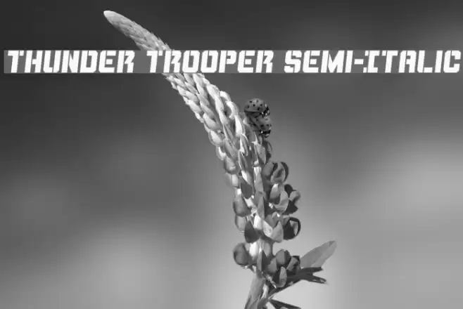 Thunder Trooper Semi-Italic Font examples