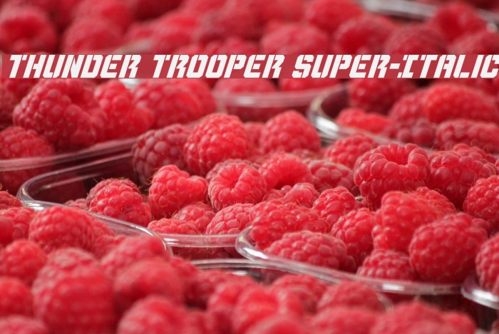 Thunder Trooper Super-Italic Font examples