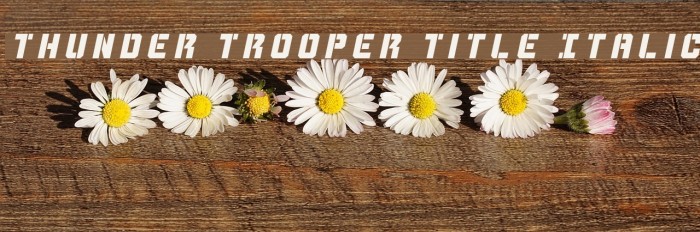 Thunder Trooper Title Italic Font examples