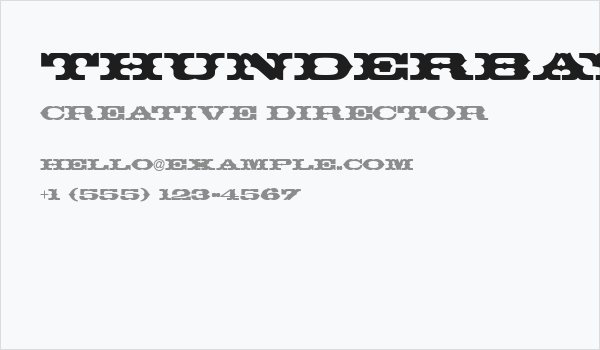 ThunderBay Business Card