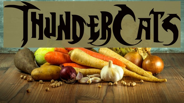 ThunderCats Font examples