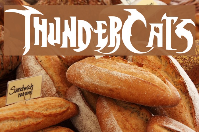 ThunderCats Font examples